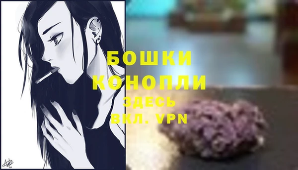 кристаллы Гусев