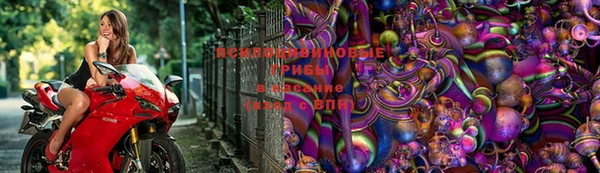 кристаллы Гусев