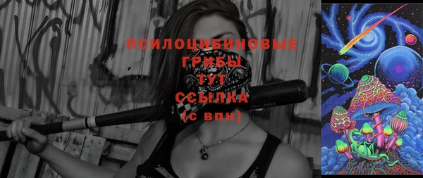 кристаллы Гусев